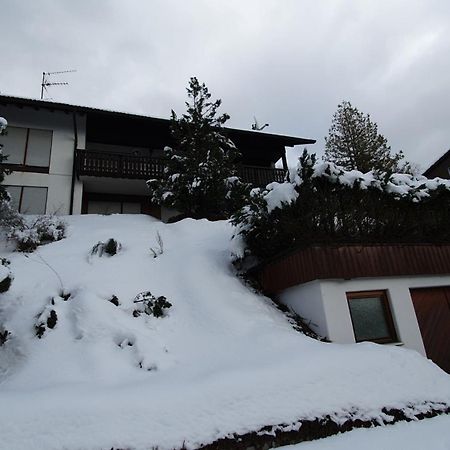 Haus Panorama Mit Alpenblick Villa Kleines Wiesental Exteriör bild