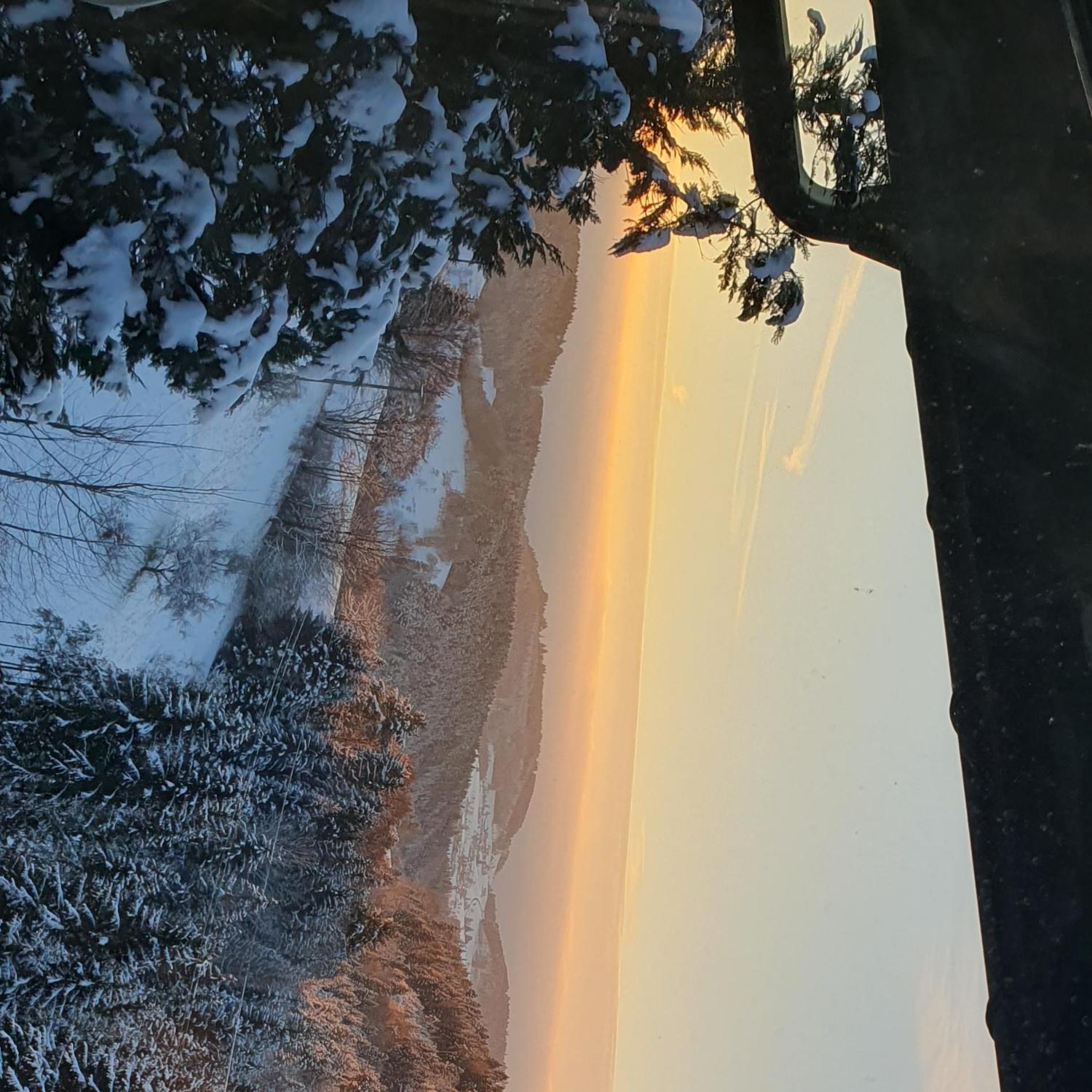 Haus Panorama Mit Alpenblick Villa Kleines Wiesental Exteriör bild